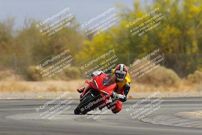 media/Apr-12-2025-Race Pace (Sat) [[9230add55f]]/Vested/1-Turn 2 (10am)/